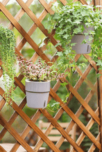 Load image into Gallery viewer, Self-Watering Pot Set - Pot & Metal Hanger