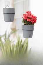 Load image into Gallery viewer, Self-Watering Pot Set - Pot & Metal Hanger