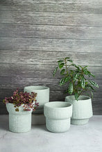Load image into Gallery viewer, Elm Concrete Planter - Light Green 13.5cm