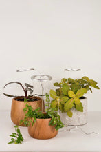 Load image into Gallery viewer, Halo Plant LED Grow Light Set - 2.0 Generation