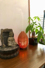 Load image into Gallery viewer, Amazonia Air Humidifier and Diffuser with Night Light