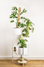 Load image into Gallery viewer, White metal plant stands