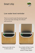 Load image into Gallery viewer, Smart Indoor Hydroponics Grow Kit with LED Grow Lights