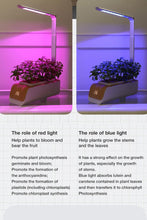 Load image into Gallery viewer, Smart Indoor Hydroponics Grow Kit with LED Grow Lights