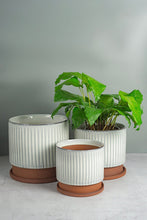 Load image into Gallery viewer, Brooke Ceramic Planter
