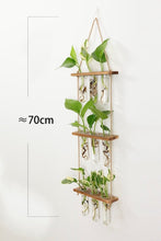 Load image into Gallery viewer, 3 Tier Wall Hanging Test Tube Propagation Station - Brown
