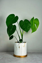 Load image into Gallery viewer, Estelle Marble Planter