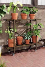 Load image into Gallery viewer, mental Plant shelves & stands, indoor & outdoor