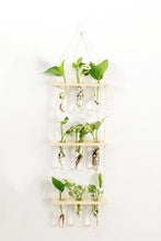 Load image into Gallery viewer, 3 Tier Wall Hanging Test Tube Propagation Station - Natural