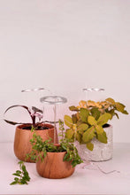Load image into Gallery viewer, Halo Plant LED Grow Light Set - 2.0 Generation