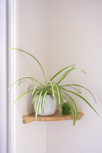 Load image into Gallery viewer, Solid Wood Wall-Mounted Wooden Corner Shelf (Three Installation Options) - Natural