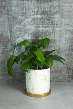 Load image into Gallery viewer, Estelle Marble Planter