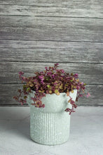 Load image into Gallery viewer, Elm Concrete Planter - Light Green 13.5cm