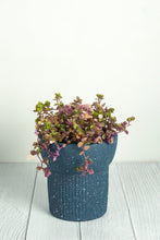 Load image into Gallery viewer, Elm Concrete Planter - Dark Blue 13.5cm