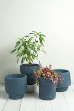 Load image into Gallery viewer, Elm Concrete Planter - Dark Blue 13.5cm