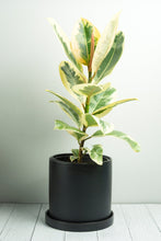 Load image into Gallery viewer, Lamia Ceramic Pot - Matt Black 18cm