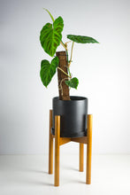 Load image into Gallery viewer, Adjustable Bamboo Plant Stand - Brown