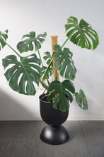 Load image into Gallery viewer, Large Planter Stand in Black