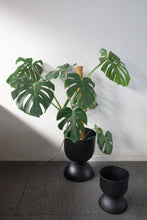 Load image into Gallery viewer, Nova Large Metal Plant Stand