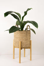 Load image into Gallery viewer, Adjustable Bamboo Plant Stand - Natural