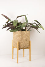 Load image into Gallery viewer, Adjustable Bamboo Plant Stand - Natural