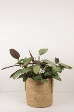 Load image into Gallery viewer, Luca Handmade Natural Woven Basket