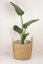 Load image into Gallery viewer, Luca Handmade Natural Woven Basket