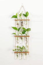 Load image into Gallery viewer, 3 Tier Wall Hanging Test Tube Propagation Station - Brown