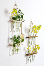 Load image into Gallery viewer, 2 Tier Wall Hanging Test Tube Propagation Station - Brown