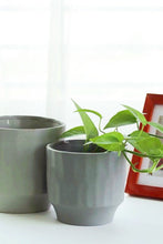 Load image into Gallery viewer, Seda Ceramic Pot & Propagation Station 17cm