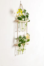 Load image into Gallery viewer, 2 Tier Wall Hanging Test Tube Propagation Station - Natural