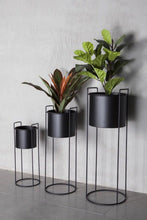 Load image into Gallery viewer, Black Large Plant Stands