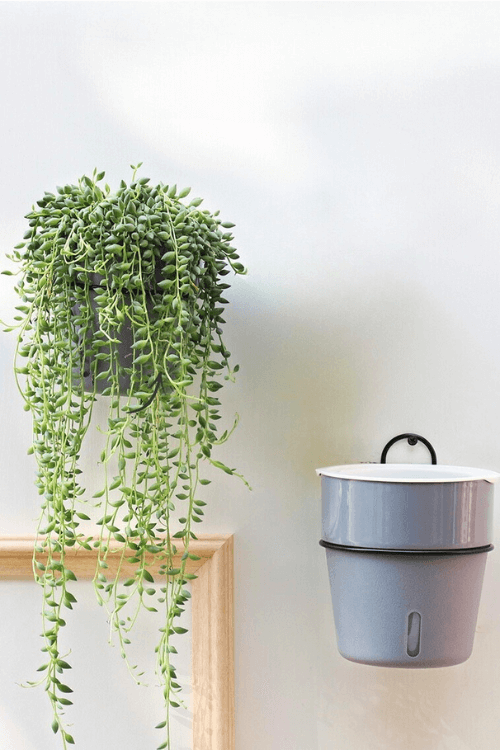 Self-Watering Pot Set - Pot & Metal Hanger