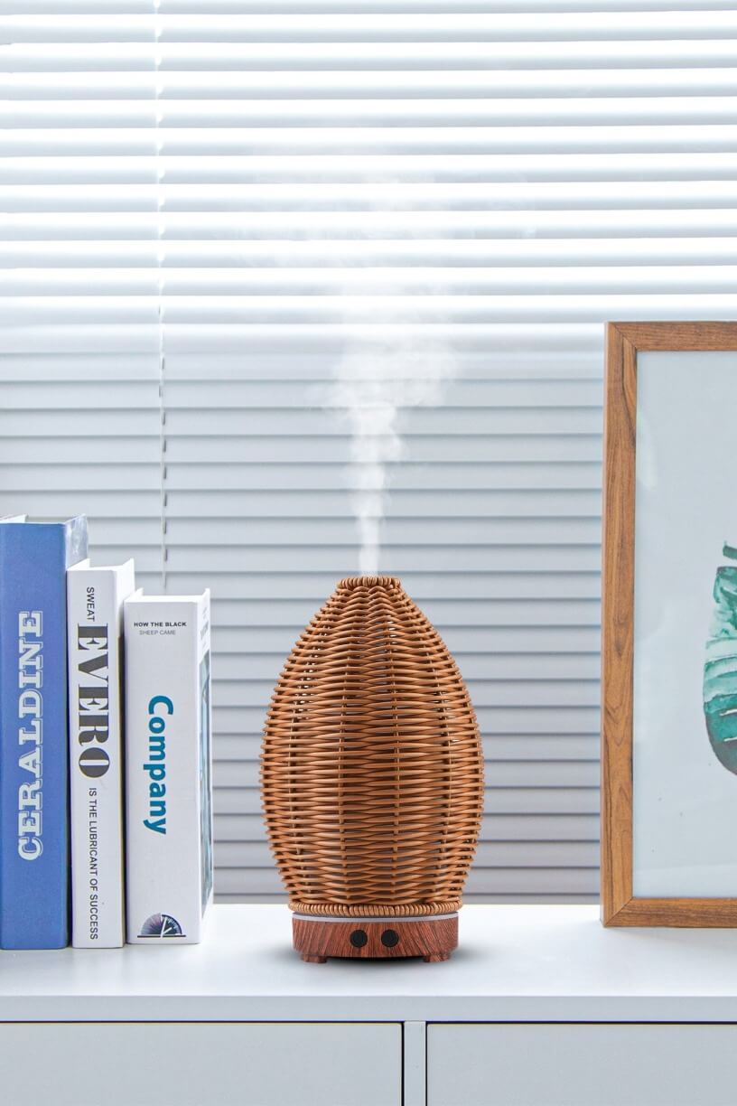 Amazonia Air Humidifier and Diffuser with Night Light
