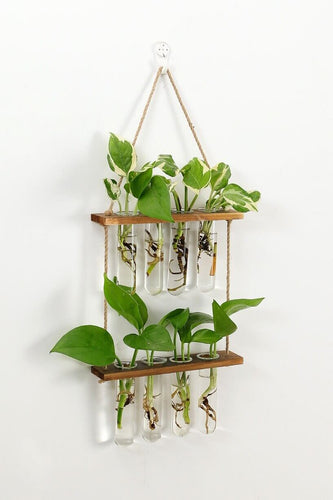 Test Tube Propagation Stations wall hanging