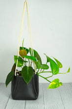 Load image into Gallery viewer, Black Ceramic Hanging Pot with Plants
