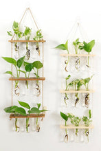Load image into Gallery viewer, 3 Tier Wall Hanging Test Tube Propagation Station - Natural
