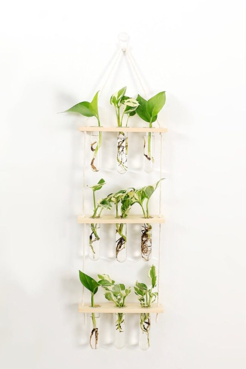 3 Tier Wall Hanging Test Tube Propagation Station - Natural