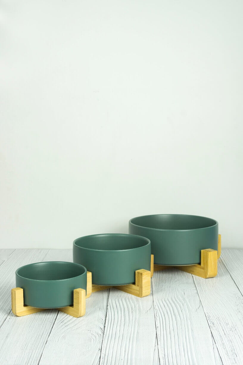 Ari Ceramic Pot with Bamboo Stand - Green