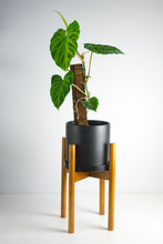 Load image into Gallery viewer, Adjustable Bamboo Plant Stand - Brown
