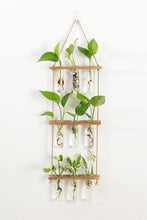 Load image into Gallery viewer, 3 Tier Wall Hanging Test Tube Propagation Station - Brown

