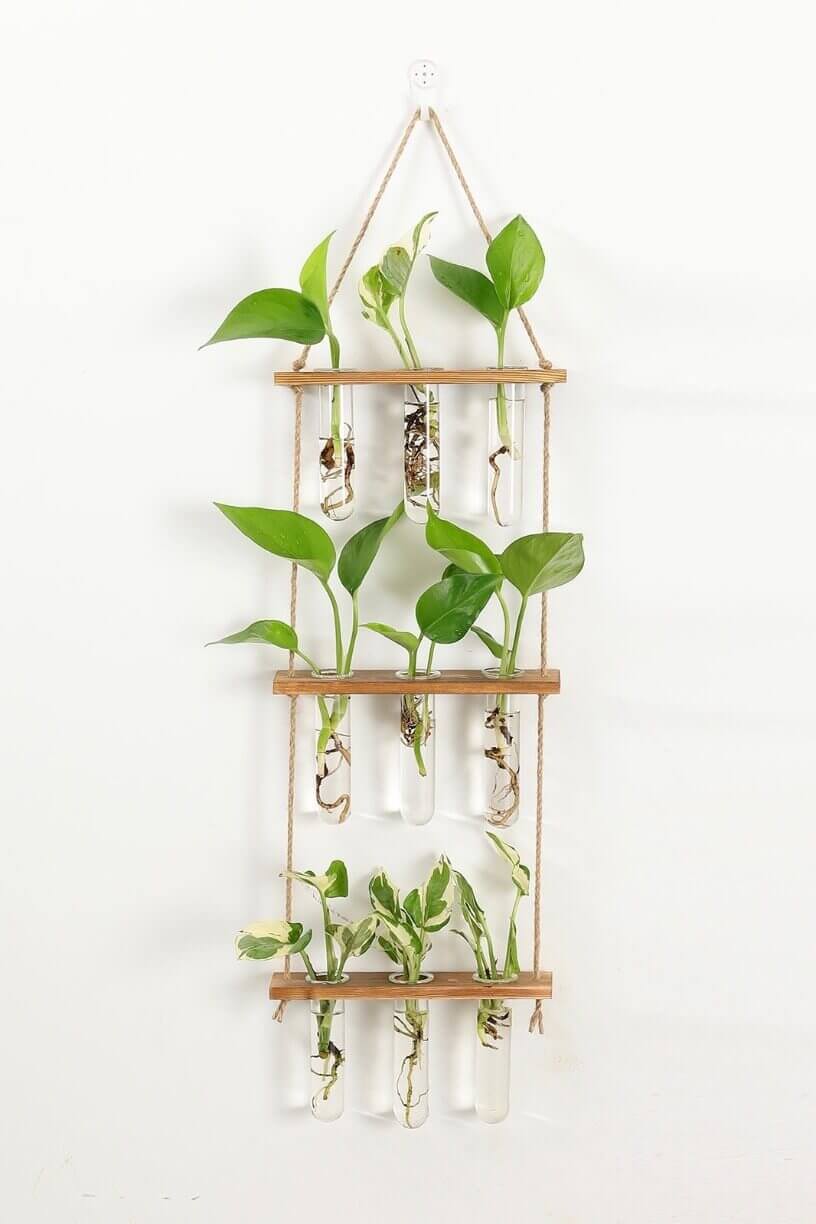 3 Tier Wall Hanging Test Tube Propagation Station - Brown