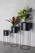 Load image into Gallery viewer, Black Large Plant Stands 
